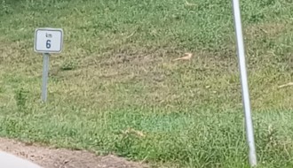 Bezbednost u saobraćaju