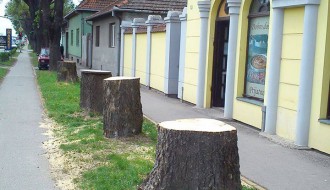 Vandalna seča drveta za jednu noć?!