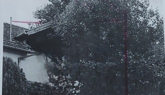 Urasle grane u kablove elektroinstalacije