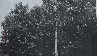 Urasle grane u kablove elektroinstalacije