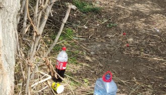 Smeće oko jezera Palić