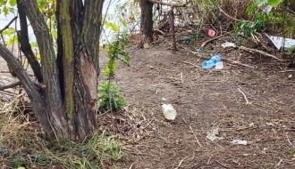 Smeće oko jezera Palić