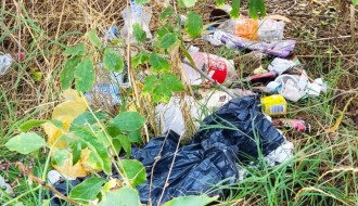 Smeće oko jezera Palić