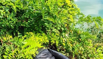 Smeće oko jezera Palić