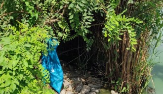 Smeće oko jezera Palić