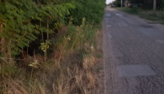 Gornji Tavankut-rastinje pored puta, nema uličnih svetala i losa bandera