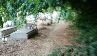 Bajsko groblje u haosu od grana