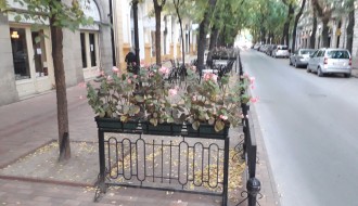 Otežana vožnja biickla u centru grada