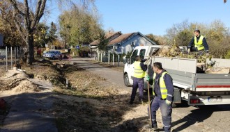 Opasnost lomljenja starih drva ispred OŠ Ivan Milutinović u Maloj Bosni