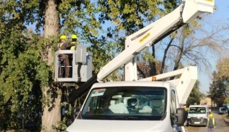 Opasnost lomljenja starih drva ispred OŠ Ivan Milutinović u Maloj Bosni