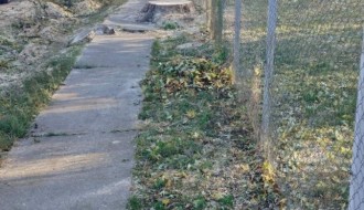 Opasnost lomljenja starih drva ispred OŠ Ivan Milutinović u Maloj Bosni