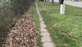 Neodržavanje zelenih površina na Paliću (Horgoški put)