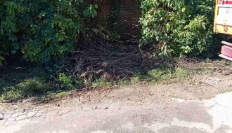 Nagomilano smeće kod auto praonice sa Somborskog puta u Mićurinovu