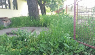 Vrtić Alisa zarastao u travu