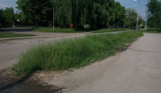 Vrtić Alisa zarastao u travu