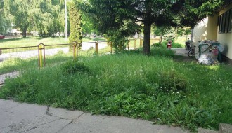 Vrtić Alisa zarastao u travu