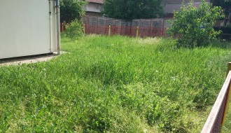Vrtić Alisa zarastao u travu