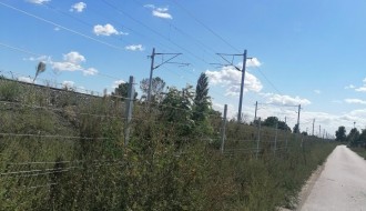 Ambrozija uz brzu prugu Subotica-Državna granica