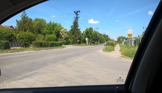 Živa ograda u ul. Đ. Natoševića