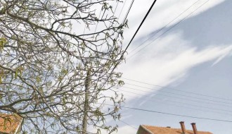 Ceo kvart u Bajmoku bez struje - zbog jedne grane