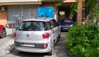 Pauk ne radi nedeljom