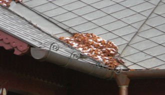 Održavanje Velike terase na Paliću