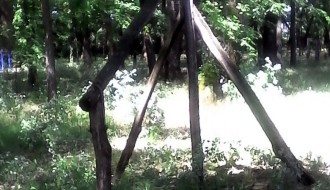 Dudova šuma (i) ovog proleća