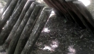 Dudova šuma (i) ovog proleća