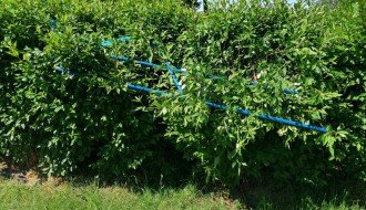 Nedavno renoviran park u Kerskom naselju ponovo uništen