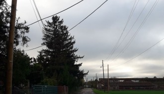 Muke stanovnika Grobljanskog puta na Paliću