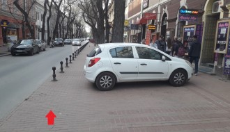 Borovo ulica - pešačka zona?