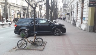 Borovo ulica - pešačka zona?