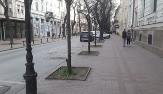 Borovo ulica - pešačka zona?