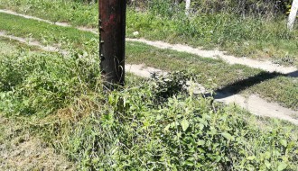 Potrebno održavanje parka u Leskovačkoj ulici