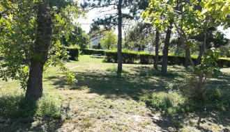 Potrebno održavanje parka u Leskovačkoj ulici