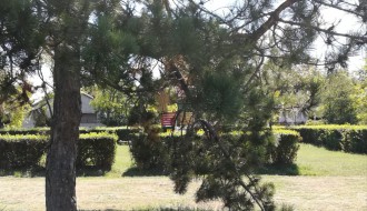 Potrebno održavanje parka u Leskovačkoj ulici