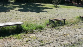 Potrebno održavanje parka u Leskovačkoj ulici