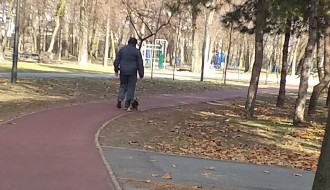 Čemu (treba da) služi trim staza u Dudovoj šumi?