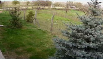 Odlaganje smeća kamionom u šumu na Makovoj sedmici