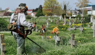 Trava do kolena na Senćanskom groblju