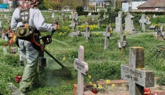 Trava do kolena na Senćanskom groblju