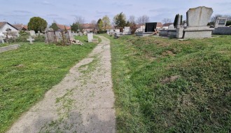 Trava do kolena na Senćanskom groblju