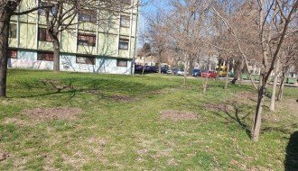 Trulo lišće na zelenim površinama Prozivke