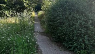 Džungla u selu Gabrić - nema rasvete, napadaju psi, iskaču migranti