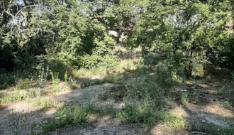 Džungla u selu Gabrić - nema rasvete, napadaju psi, iskaču migranti