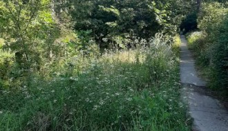 Džungla u selu Gabrić - nema rasvete, napadaju psi, iskaču migranti