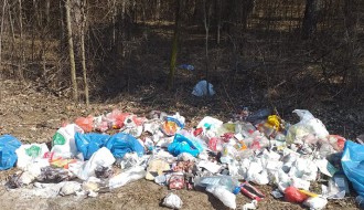 Stvaranje malih deponija u subotičkoj šumi
