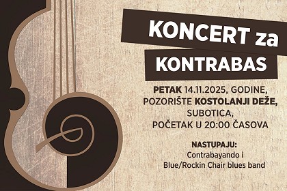 Dobrotvorni „Koncert za kontrabas“ - bendovi i publika udruženi u zajedničkom cilju