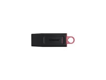 KINGSTON USB FLEŠ DTX-256GB 256GB USB3.2 GEN1