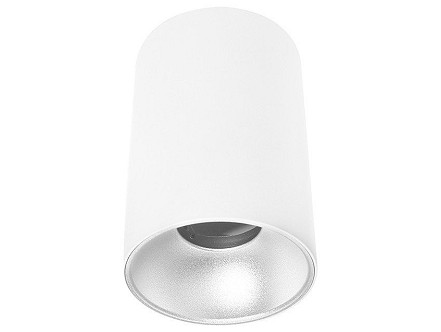 Plafonska lampa Round GU10 140mm belo-srebrna IP20